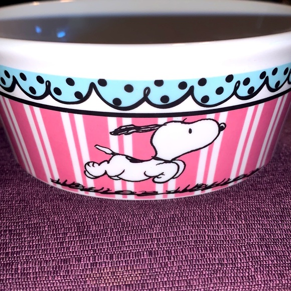 Peanuts Dog Snoopy Peanuts Ceramic Pet Bowl 5 Nwt Poshmark